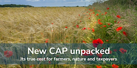 New CAP unpacked - Its true cost for farmers, nature and taxpayers