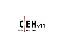 EC-Council - Certified Ethical Hacker (CEH-V12)