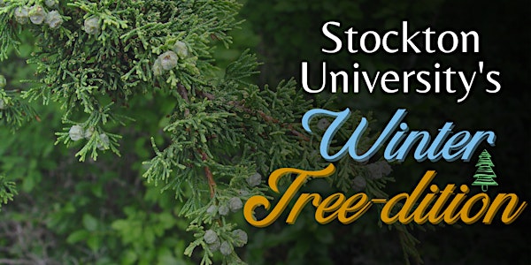 Stockton University's Winter Tree-dition - Dec 7