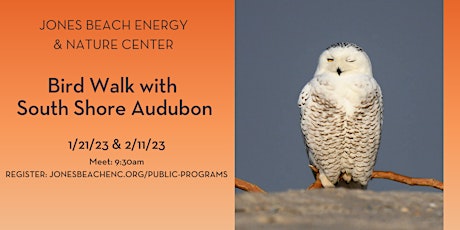 Bird Walk with South Shore Audubon