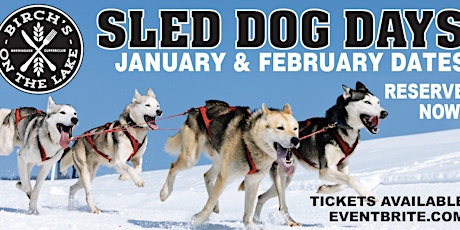 Sled Dog Days at Birch's on the Lake