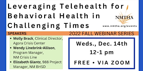 Leveraging Telehealth for Behavioral Health in Challenging Times