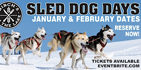 Sled Dog Days at Birch's on the Lake