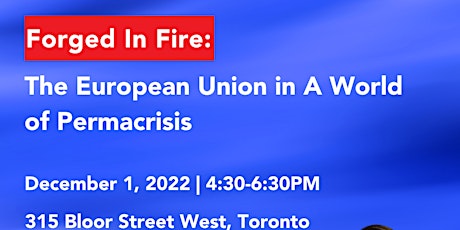 Forged in fire: The European Union in a world of permacrisis