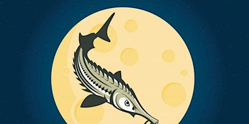 Imagem principal de Shamanic Sound Healing Journey & Mantra (Full Sturgeon Moon)