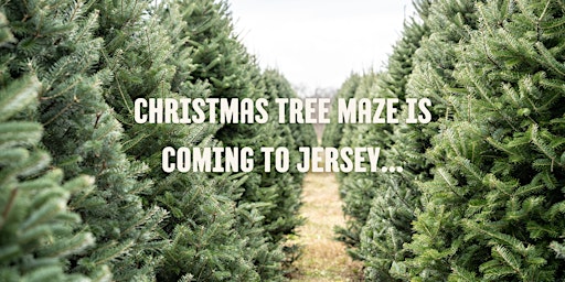 Christmas Tree Trail & Maze + Santa Workshop