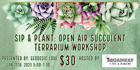 Sip and Plant: Succulent  Terrarium Workshop with Geodesic Love