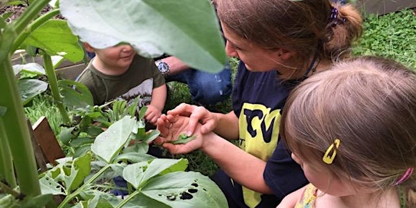 Little Acorns Forest School (Feb-April) 