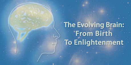 The Evolving Brain: From Birth to Enlightenment primary image