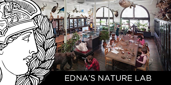 EDNA'S NATURE LAB