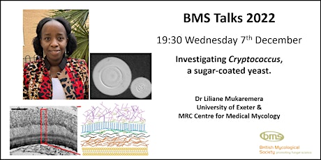 BMS Talk - Investigating Cryptococcus, a sugar-coated yeast.