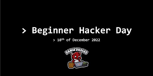 Beginner Hacker Day (+ food) #VIBORG
