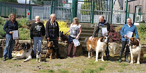 Dog Socialisation Class (Callac) primary image