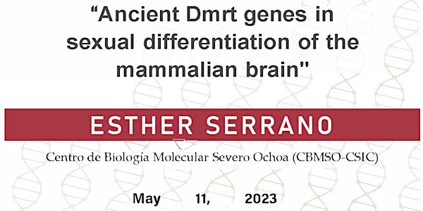 Ancient Dmrt genes in sexual differentiation of the mammalian brain