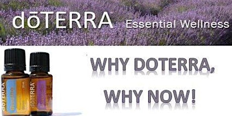 Learn about the incredible doTERRA business and opportunity to join us primary image
