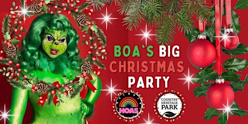 BOA's BIG Christmas Party