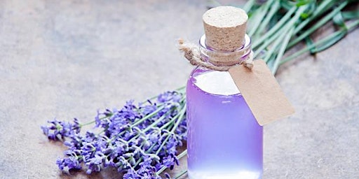 Essential Oils with Hannah Stein: Lavender *For Adults
