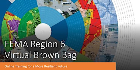 FEMA Region 6 Virtual Brown Bag (VBB)