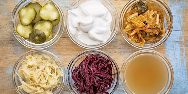 Transform Your Gut…..Transform Your Life