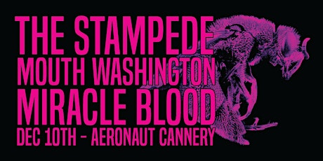 The Stampede ft. Miracle Blood and Mouth Washington at Aeronaut Cannery