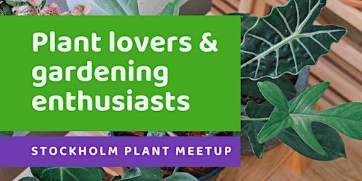 Stockholm Plant Meetup