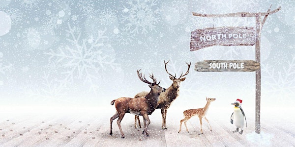Santa Bookings - North Pole at the South Pole 2022