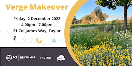 Taylor Verge Makeover primary image