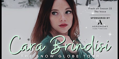 Cara Brindisi: The Snow Globe Tour at Mechanics Hall
