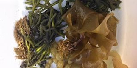Seaweed foraging for cooking and gardening primary image