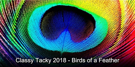 Classy Tacky Ball 2018 primary image