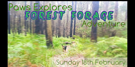 Paws Explore FOREST FORAGE Adventure (SupPAWting Starting Over Dog Rescue) primary image