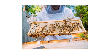 Rowan County Beginning Beekeepers School