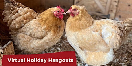 Virtual Holiday Hangouts - Meet the Birds!