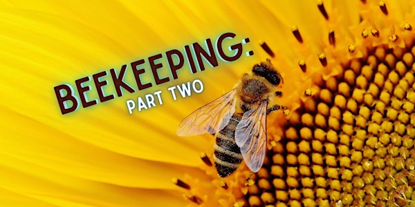 Beekeeping Part 2