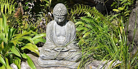 Insight Meditation nine-day retreat - Coromandel primary image