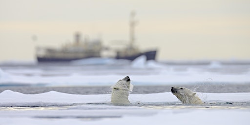 Towards Marine Protection Across the Arctic
