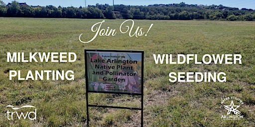 Lake Arlington Wildflower Meadow Seeding
