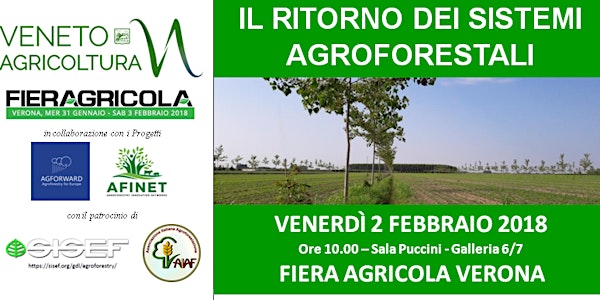 IL RITORNO DEI SISTEMI AGROFORESTALI - THE RETURN OF AGROFORESTRY SYSTEMS
