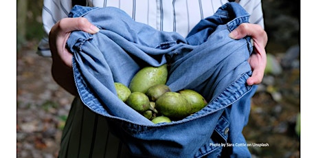 Imagem principal do evento Frederick County Master Gardener: Pawpaws, a Little Known Treasure