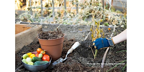 Imagem principal do evento Frederick County Master Gardener Seminar: Fall Cleanup & Winterizing Garden