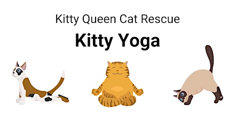Kitty Queen Yoga