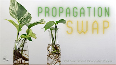 Propagation Swap