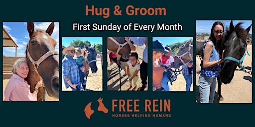 Hug and Groom 2023: Come and Meet our Horses