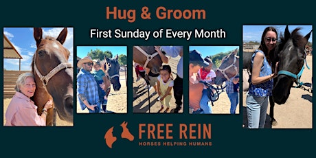 Hug and Groom 2023: Come and Meet our Horses