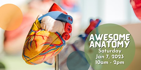 Family Day: Awesome Anatomy