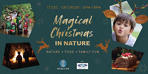 Singa-Tribe Celebrates: A Magical Christmas in Nature