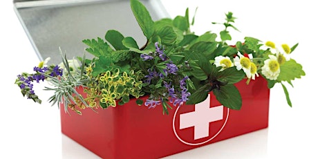 Herbal first aid