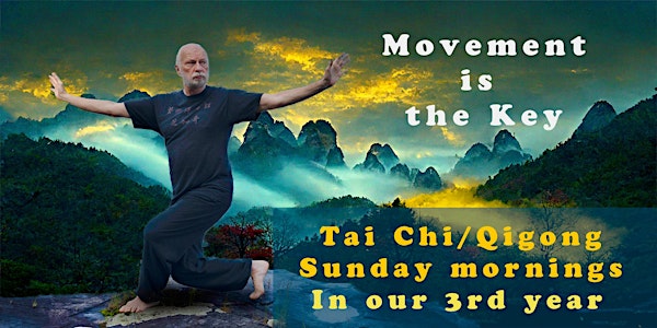 Begin your Tai Chi journey: Traditional Movements for Health / Rejuvenation