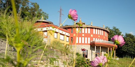 Immagine principale di Visite Guidate Al Tempio - Albagnano Healing Meditation Center 