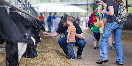 2018 Family Day at the Dairy Farm. Event is free to the public. No registration is needed. primary image